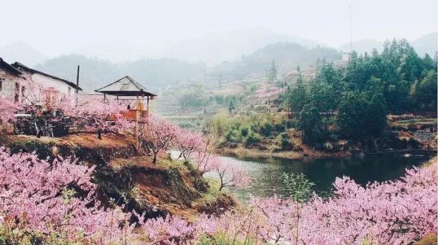 中國的桃花源和西方的烏托邦，是全人類的精神遺產(chǎn)